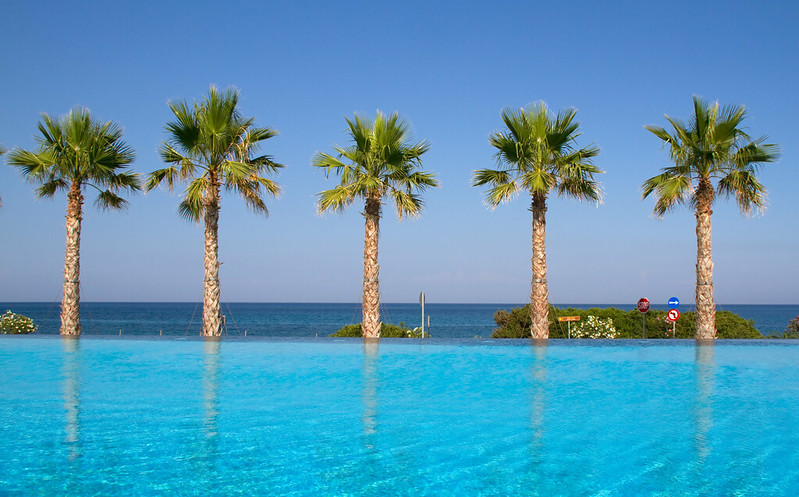 pool with palm trees in the distnace